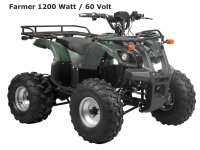 Farmer 1200 Watt 60V mit Differential NEUHEIT