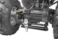 Farmer 1200 Watt 60V mit Differential