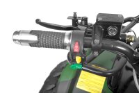 Farmer 1200 Watt 60V mit Differential