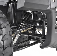 Farmer 1200 Watt 60V mit Differential