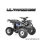 Farmer 1200 Watt 60V mit Differential