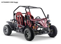 Elektro Buggy 5 KW - 60km/h