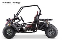 Elektro Buggy 5 KW - 60km/h