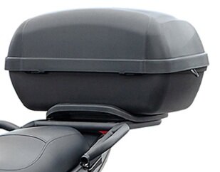 Halterung und Koffer Set passend für SPY Racing