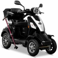 E-Quad 25 V.2, Blei-Gel Akku, 1000Watt, 25 km/h EEC