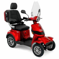 E-Quad 25 V.2 Premium Blei-Gel Akku, 1000Watt, 25 km/h EEC