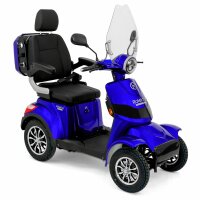 E-Quad 25 V.2 Premium Blei-Gel Akku, 1000Watt, 25 km/h EEC