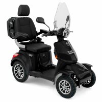 E-Quad 25 V.2 Premium Blei-Gel Akku, 1000Watt, 25 km/h EEC