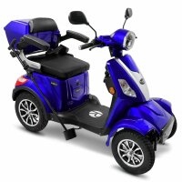 E-Quad 25 V.3 Lithium-Akku, 1000Watt, 25 km/h EEC