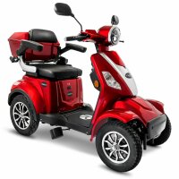 E-Quad 25 V.3 Lithium-Akku, 1000Watt, 25 km/h EEC