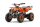 Torino Sport 48V 1200Watt 6" Snowy Tire L
