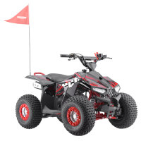 Midi Benzin Quad ATV 125cc, Automatik + RG 7 Zoll