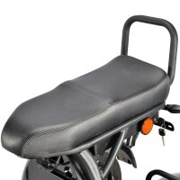 COCO TRIKE 4KW 45km/h mit Straßenzulassung EEC (2x2KW) Gelb