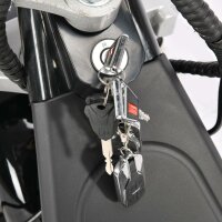 COCO TRIKE 4KW 45km/h mit Straßenzulassung EEC (2x2KW) Gelb