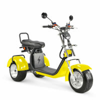 COCO TRIKE 4KW 45km/h mit Straßenzulassung EEC (2x2KW) Gelb