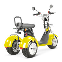 COCO TRIKE 4KW 45km/h mit Straßenzulassung EEC (2x2KW) Gelb