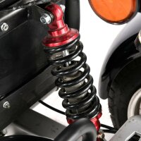 COCO TRIKE 4KW 45km/h mit Straßenzulassung EEC (2x2KW) Rot