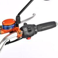 COCO TRIKE 4KW 45km/h mit Straßenzulassung EEC (2x2KW) Rot