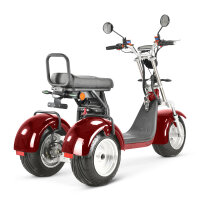 COCO TRIKE 4KW 45km/h mit Straßenzulassung EEC (2x2KW) Rot