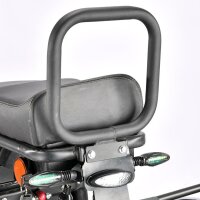 COCO TRIKE 4KW 45km/h mit Straßenzulassung EEC (2x2KW) Schwarz