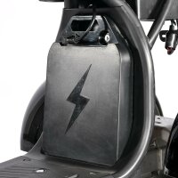 COCO TRIKE 4KW 45km/h mit Straßenzulassung EEC (2x2KW) Schwarz