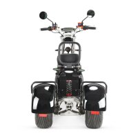 COCO TRIKE 4KW 45km/h mit Straßenzulassung EEC (2x2KW) Schwarz