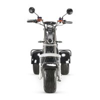 COCO TRIKE 4KW 45km/h mit Straßenzulassung EEC (2x2KW) Schwarz