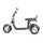 COCO TRIKE 4KW 45km/h mit Straßenzulassung EEC (2x2KW) Schwarz