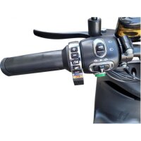 City Go X3 E-Roller 500 Watt, 25 km/h, 30AH, 100km, Führerscheinfrei