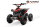AVENGER BRUSHLESS 1200 Watt 48 Volt 6 Zoll MINIQUAD Rot