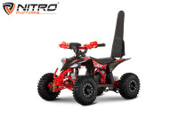 Replay MiniQuad 1350W 48V 6 Zoll XL Differential