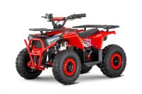 E-QUAD NERINO 1200W 48V mit BTF2 Reifen