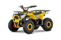 E-QUAD NERINO 1200W 48V mit BTF2 Reifen