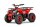 E-QUAD NERINO 1200W 48V mit BTF2 Reifen