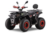 Dustrider 6KW Peak 72V 40Ah Elektro Quad 10" Prime