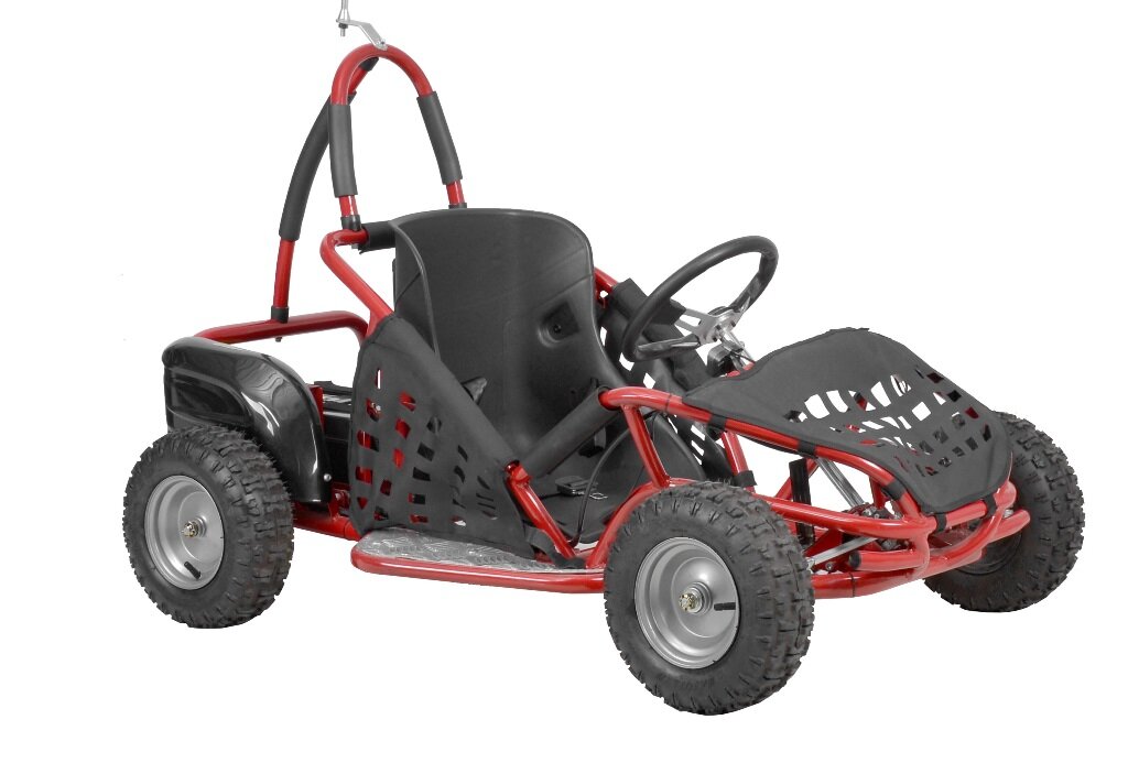 Kinder Buggy 1000 Watt mit DIFFERENTIAL + Brushless Motor - E-Quads &,  999,00