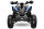 Rizzo RS8-3G midi Quad 150cc 8 Zoll Semi-Automatik mit RG