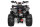 Rizzo RS8-3G midi Quad 150cc 8 Zoll Semi-Automatik mit RG
