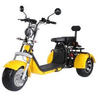 TRIKE 2KW 45km/h mit Stra&szlig;enzulassung