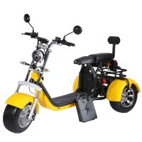 TRIKE 2KW 45km/h mit Straßenzulassung