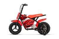 Eco Flee 300W 24V Mini Dirt Bike