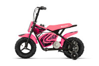 Eco Flee 300W 24V Mini Dirt Bike