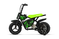 Eco Flee 300W 24V Mini Dirt Bike