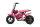 Eco Flee 300W 24V Mini Dirt Bike