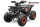 Rugby RS8-A midi Quad 125cc 8 Zoll Automatik+ RG