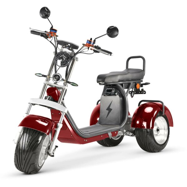 TRIKE 4KW 45km/h mit EEC (2x2KW)