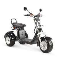 TRIKE 4KW 45km/h mit EEC (2x2KW)