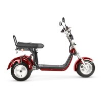 TRIKE 4KW 45km/h mit Straßenzulassung EEC (2x2KW)