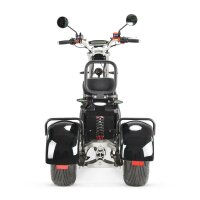 TRIKE 4KW 45km/h mit EEC (2x2KW)