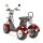 TRIKE 4KW 45km/h mit EEC (2x2KW)